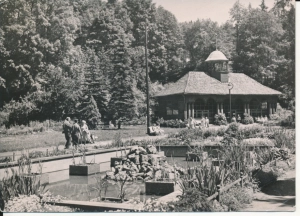 Krynica Źródło Jana - 044761