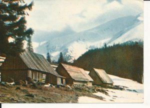 Tatry Hala Smytnia - 044765