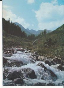 Tatry Potok Bystrej - 044769