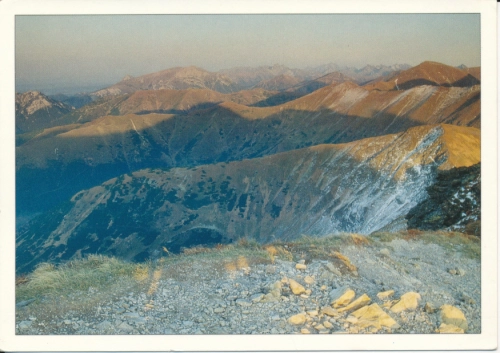 IMG_0009.jpg
