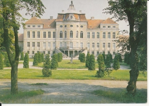 Rogalin Pałac - 044837