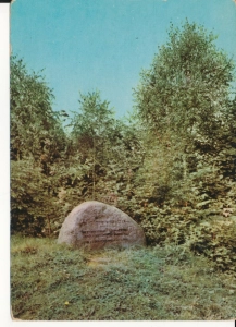 Wielkopolski Park Narodowy - 044842