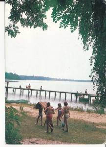 Karpicko jezioro Wolsztyn - 044851