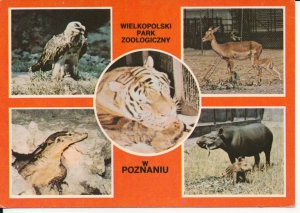 Poznań Ogród Zoologiczny - 044882