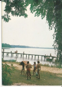 Karpicko jezioro Wolsztńskie - 044906