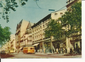 Łódź ul. Piotrkowska - 045269