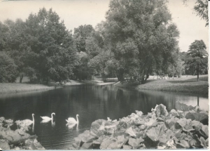 Szczecin park Kasprowicza - 045351