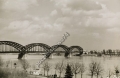 7108185481_1