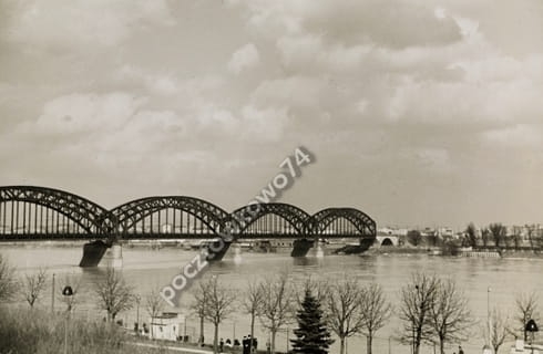 7108185481_1