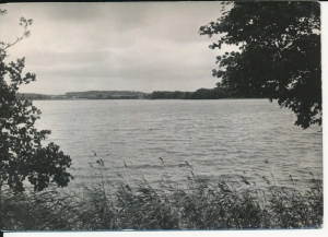 Ińsko jezioro - 045575