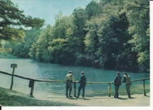 Szczecin jezioro Szmaragdowe - 045638