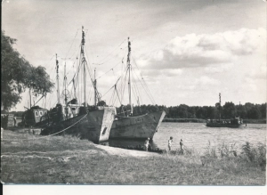 Dziwnów port rybacki - 045662