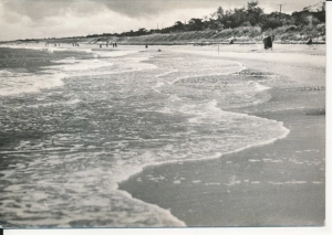 Niechorze plaża - 045714