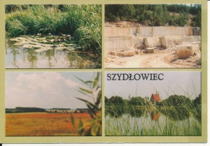 Szydłowiec format 17x11,5cm - 045762d