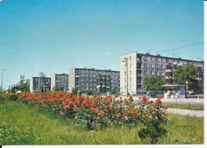 Zgiwrz ośedle 650 lecia - 045764