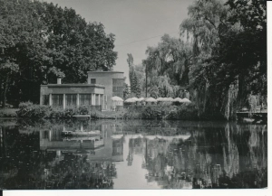 Zawircie kawiarnia Bocianówka - 045855