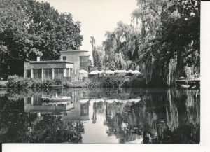 Zawircie kawiarnia Bocianówka - 045856