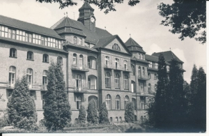 Wodzisław Śląski sanatorium - 045862