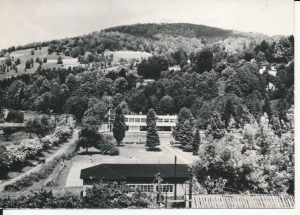 Wisła widok ogólny basenu - 045865