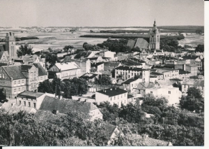 Golub Widok ogólny - 045888