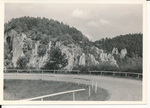 Ojców serpentyny - 045912