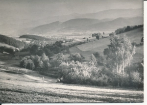 Karkonosze widok na Sobieszów - 045921