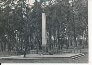 Myszków pomnik - 045929