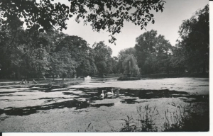 Siedlce park miejski - 045948