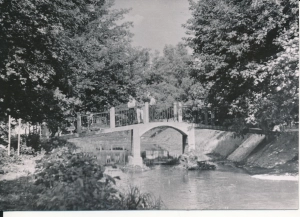 Przasnysz park miejski - 045960
