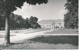 Płock Pl. Obrońców Warszawy - 045965