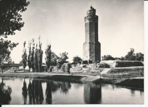 Brodnica Baszta i ruiny zamku - 046014