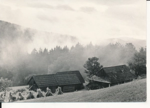 Beskid Żywiecki Sucha Góra - 046017