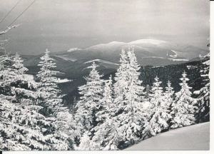 Beskid Żywiecki Babia Góra - 046018
