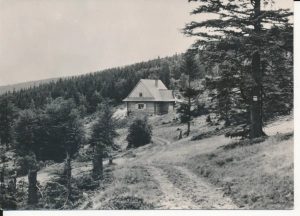 Beskid Wysoki Hala Krupowa - 046020