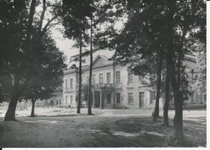 Radziejowice pałac - 046059