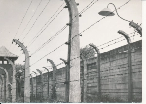 Auschwitz Oświęcim obóz - 046060