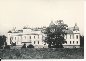 Baranów zamek - 046092