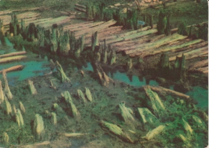 Biskupin osiedle prasłowiańskie - 046114