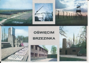 Auschwitz Brzezinka widokowa - 046129