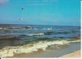 IMG_0007.jpg