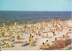 Stegna plaża - 046167