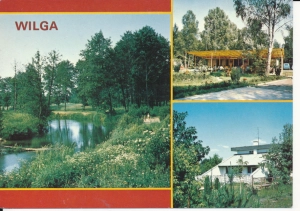 Wilga widoki widokowa - 046226