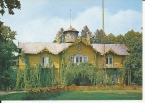 Julin drewniany dworek - 046260