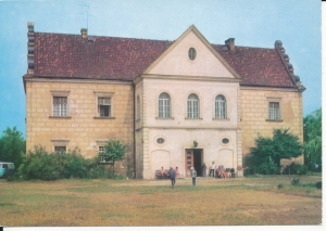 Działoszyn pałac - 046281