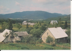 Smerek widok na Czereninę - 046294