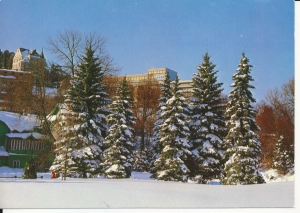 Krynica park zdrojowy - 046309