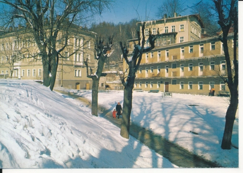 IMG_0033.jpg