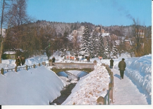 Krynica nad potokiem - 046331