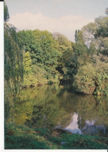 Szczecin park Kasprowicza - 046362