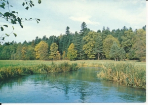 Roztocze rzeka Wieprz - 046385